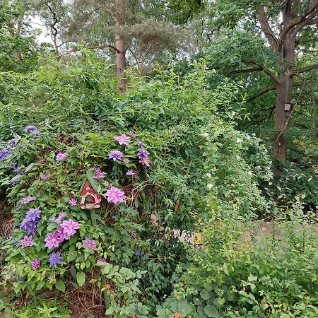 Triebesgrund Zeulenroda-Triebes