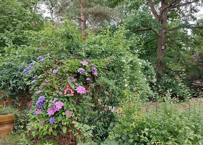 Triebesgrund Zeulenroda-Triebes